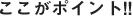 ここがポイント ここがポイント